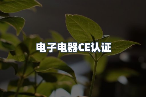 电子电器CE认证